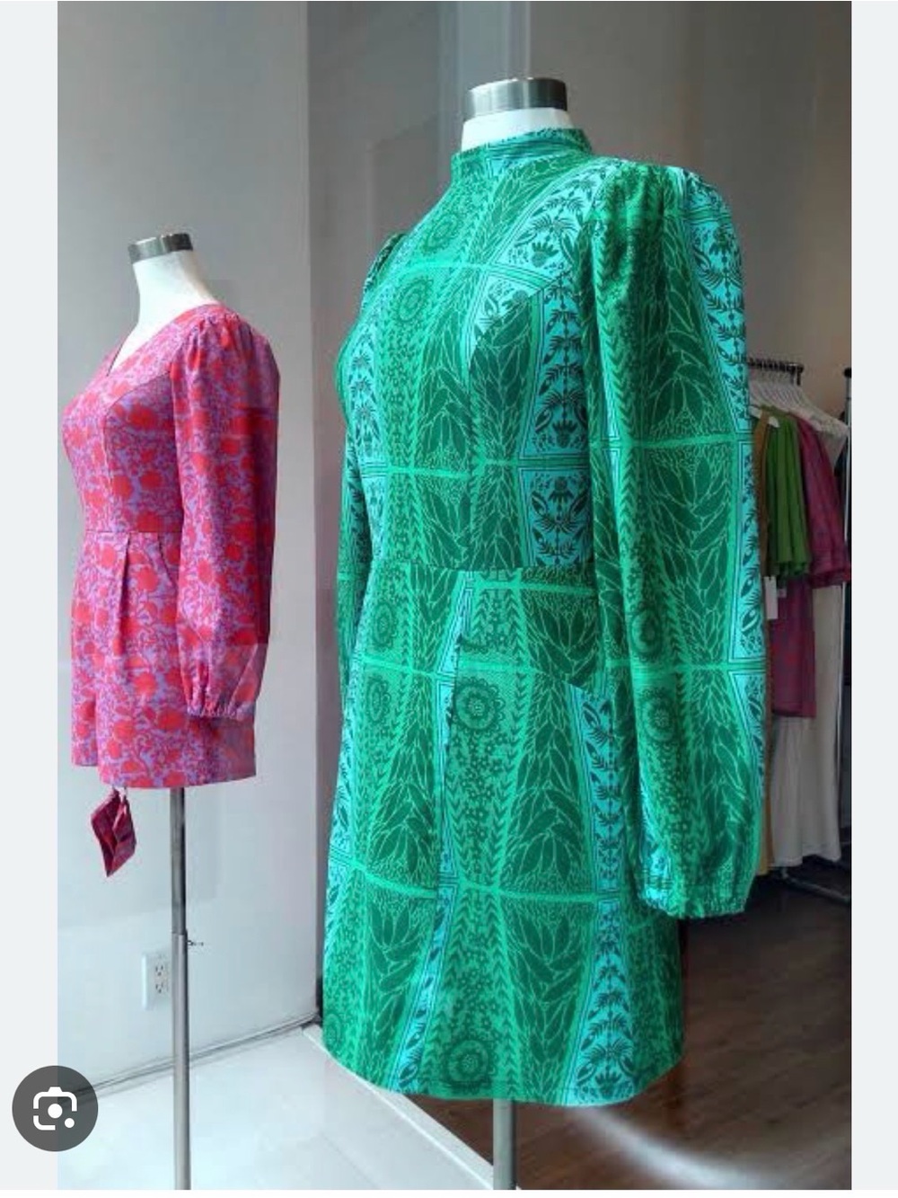 Birds of north america nyctale Green garden Long-Sleeve Mini Dress